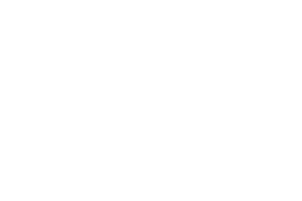 Pole Vixens
