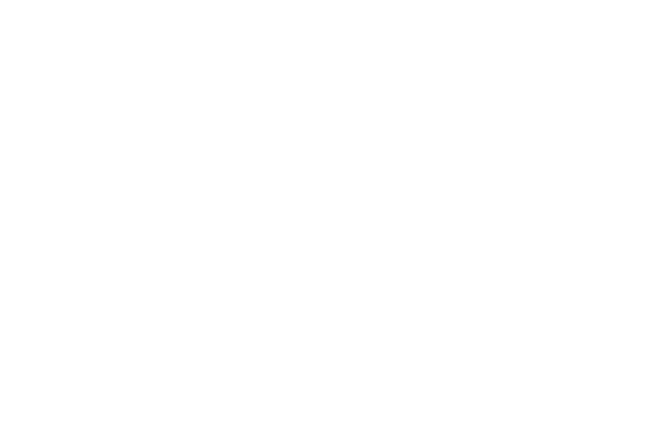Sex Tapes